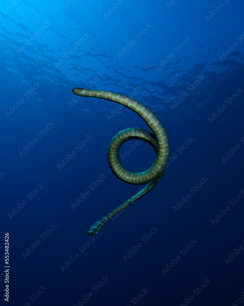 Golden sea snake, Aipysurus laevis at Gili Manuk, Banda Sea, Indonesia Golden sea snake, Aipysurus laevis at Gili Manuk, Banda Sea, Indonesia