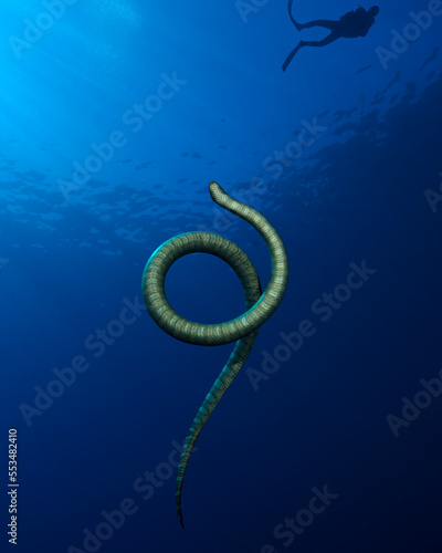 Golden sea snake, Aipysurus laevis at Gili Manuk, Banda Sea, Indonesia. One diver silhouette in the background photo