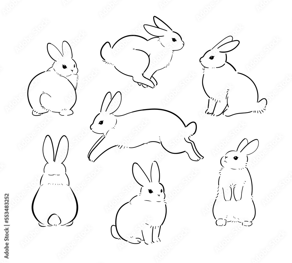 Several rabbits in various poses. A set of line drawings of rabbits drawn with a brush. Several rabbits in various poses. A set of line drawings of rabbits drawn with a brush.