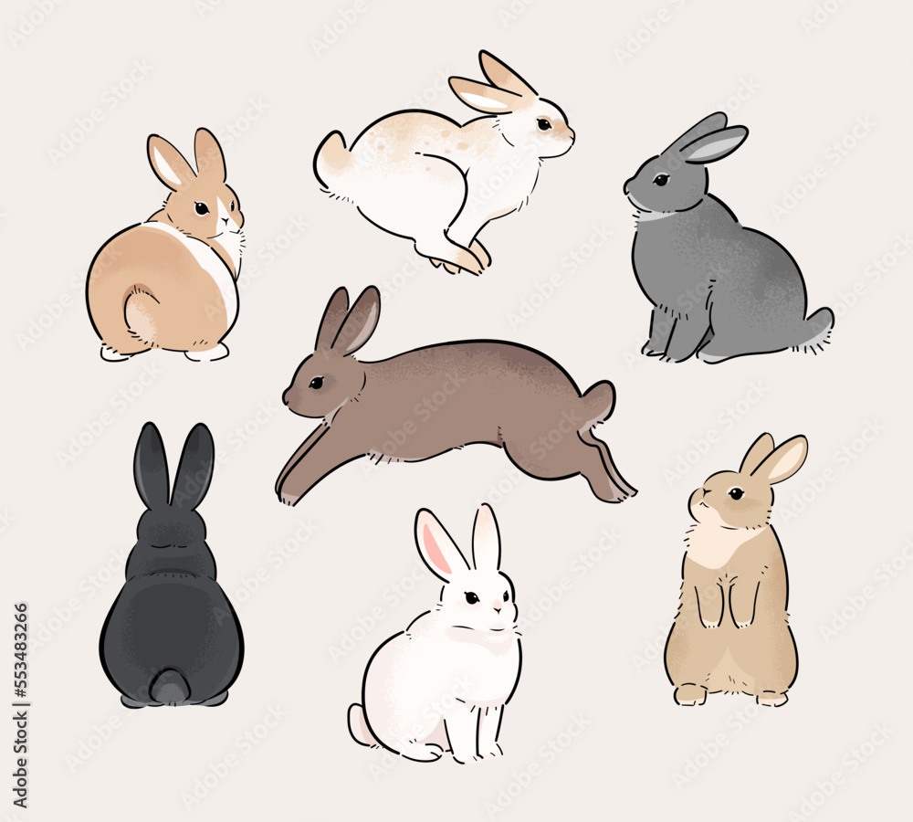 Fototapeta premium Rabbits with different fur patterns. A set of cute rabbit illustrations in various poses.
