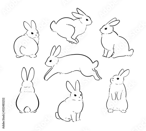 Several rabbits in various poses. A set of line drawings of rabbits drawn with a brush.