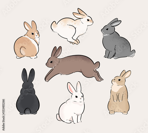 Rabbits with different fur patterns. A set of cute rabbit illustrations in various poses.