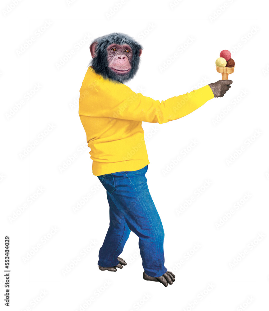 chimpanzé, habillé, en homme, glace en main, contant, dessert, drôle attitude, modèle, souriant, gars, sourire chimpanzé, habillé, en homme, glace en main, contant, dessert, drôle attitude, modèle, souriant, gars, sourire