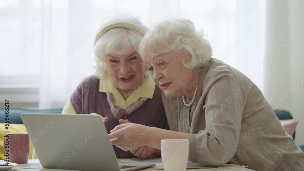 Happy senior women having online video call with relatives, inviting to visit Happy senior women having online video call with relatives, inviting to visit