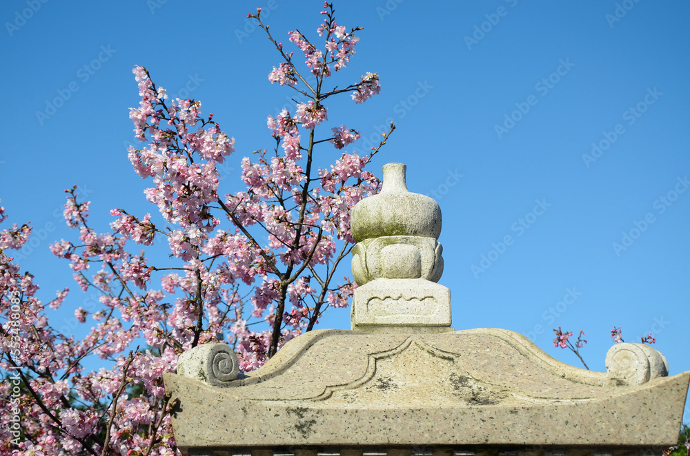 Landscape with stone lanterns and cherry blossoms Landscape with stone lanterns and cherry blossoms