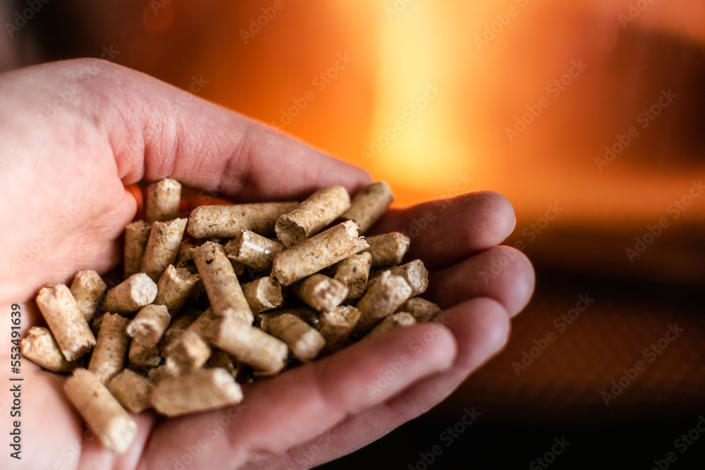 Hand holding pellets in front of the glass of a stove with a beautiful flame