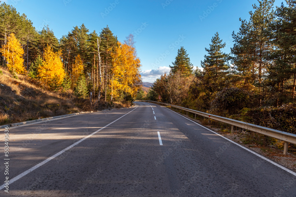 Asphalt road with beautiful trees on the sides in autumn. Asphalt road with beautiful trees on the sides in autumn.