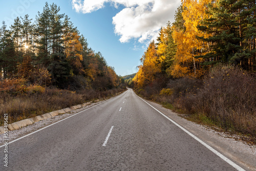 Asphalt road with beautiful trees on the sides in autumn.