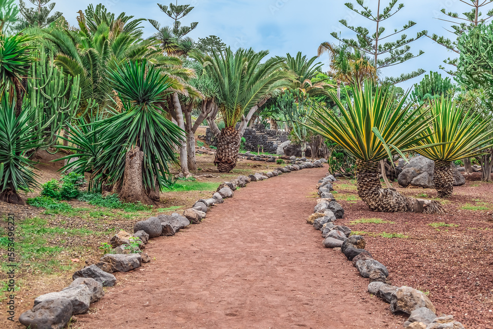 Beautiful exotic landscape in Jardines de Playa Chica garden in Puerto de la Cruz in Tenerife, Spain. Path lined with volcanic stones among palm trees and other topical plants in a park in Canaries Beautiful exotic landscape in Jardines de Playa Chica garden in Puerto de la Cruz in Tenerife, Spain. Path lined with volcanic stones among palm trees and other topical plants in a park in Canaries