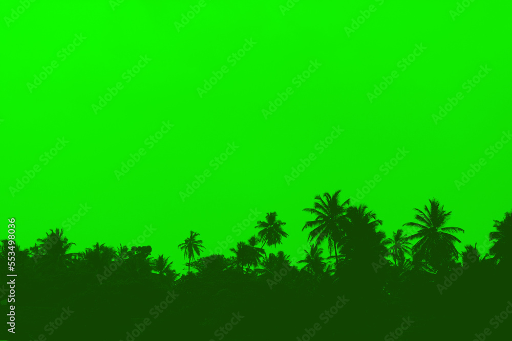 Green silhouettes of palm trees