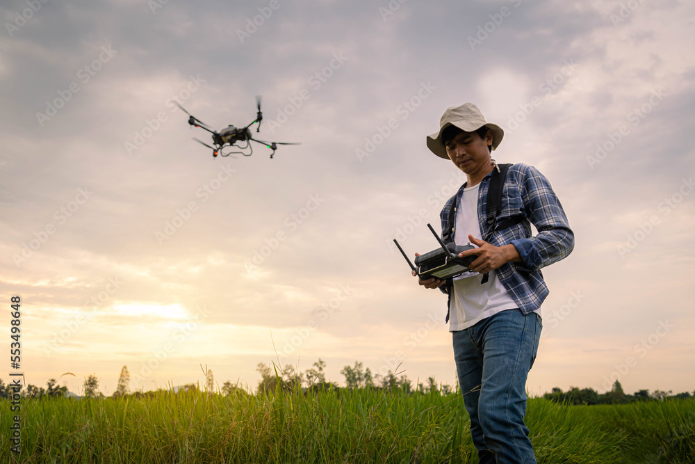 Agricultural specialist controls agriculture drone with remote ...