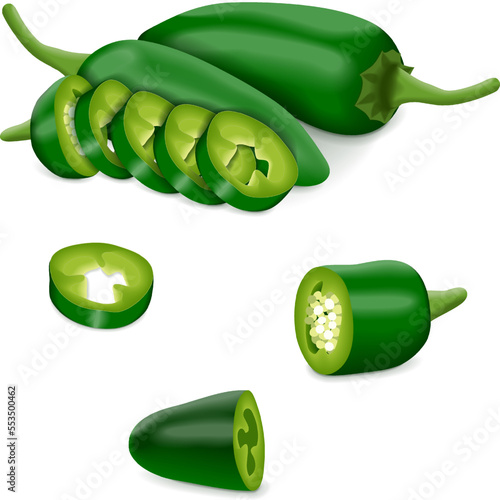 Whole, quarter, slices, and wedges of Green Jalapeno chili peppers. Jalapeno. Capsicum annuum. Chili pepper. Vegetables. Vector illustration isolated on white background.