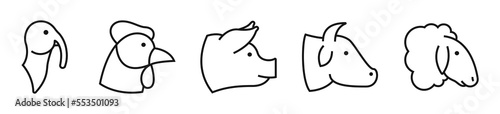 Farm animal linear icon set. Chiken, cow, sheep, pig and turkey. Vector EPS 10