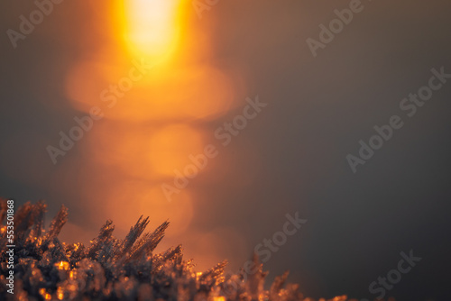 close up macro shot using selective focus bokeh of frost crystals with the sunrise behind reflecting on frozen lake on a frosty morning in Reeuwijk in the Netherlands showing seasonal change in winter