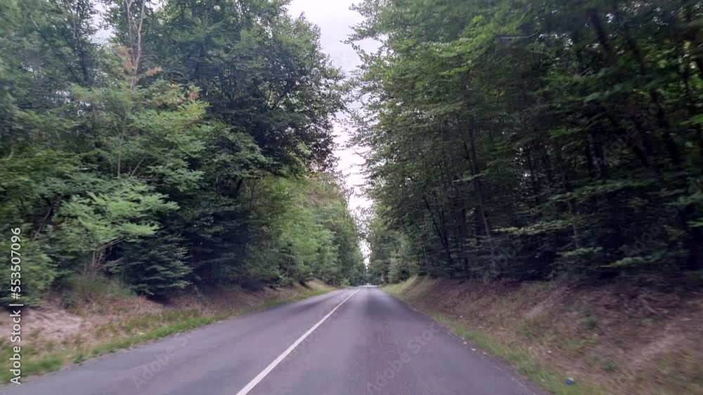 Driving on a road between beautiful green European forest, slow motion from the car. High quality 4k footage Driving on a road between beautiful green European forest, slow motion from the car. High quality 4k footage