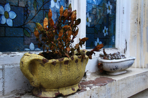 Yellow and white old ceramic oblong flower pots with dried plants and pebbles stand on a white window sill on the street, blue stained-glass windows with flowers on the glass, Germany, sunset, twiligh