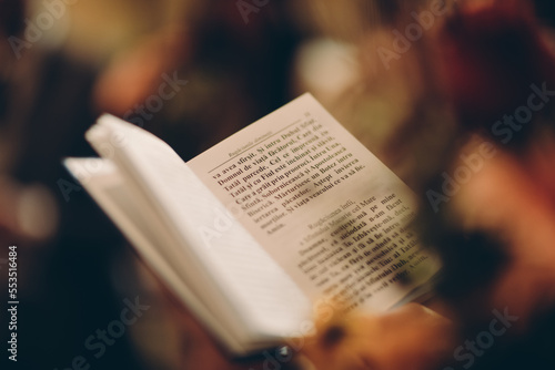 reading a book on the table