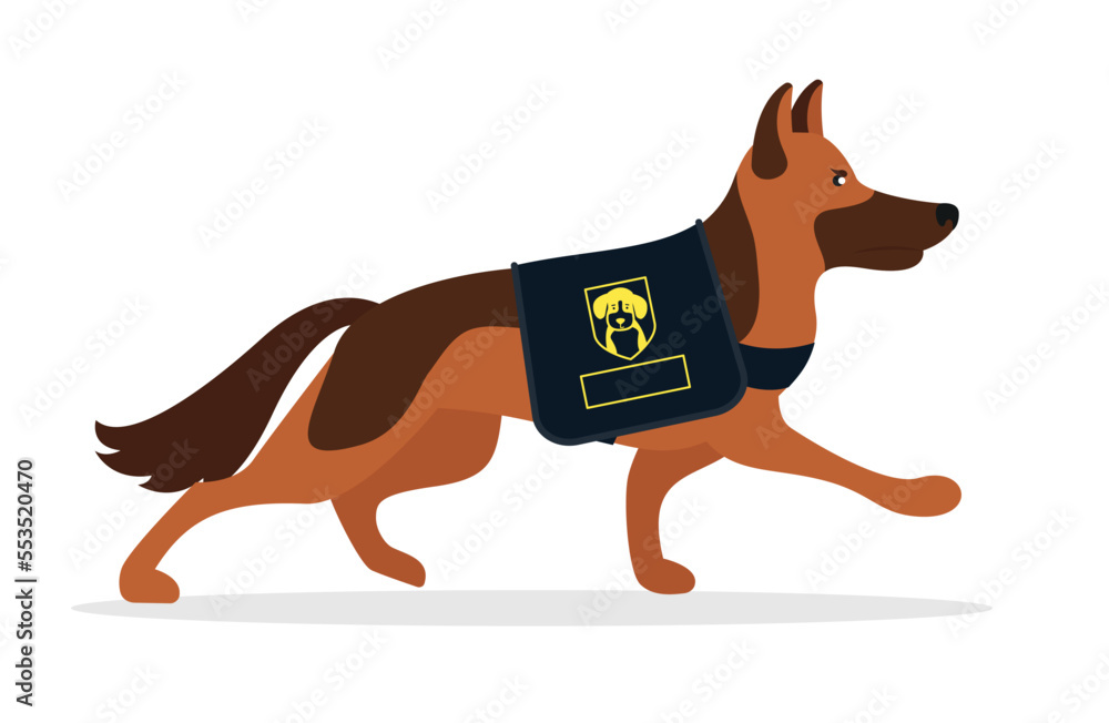 Police dog, German Shepherd walking Police dog, German Shepherd walking