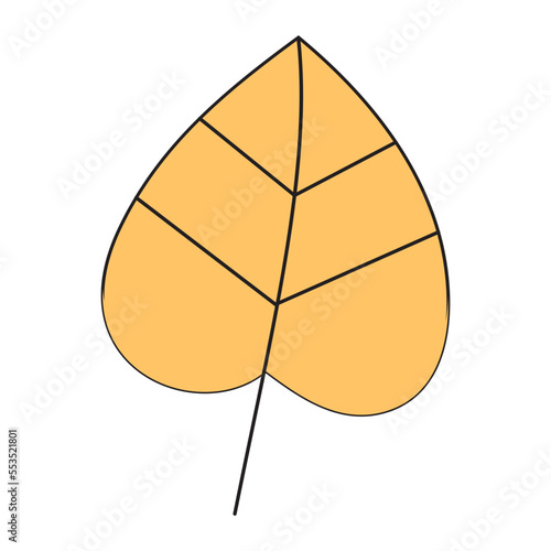 illustration of a leaf