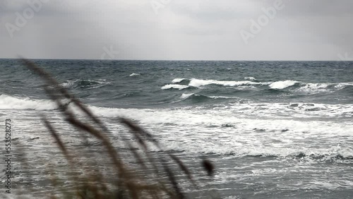 waves on the beach in winter