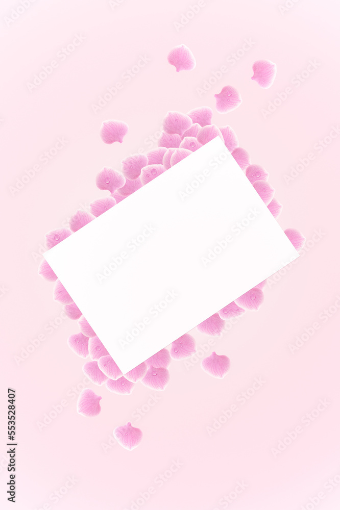 Many pink petals and white paper background. Many pink petals and white paper background.