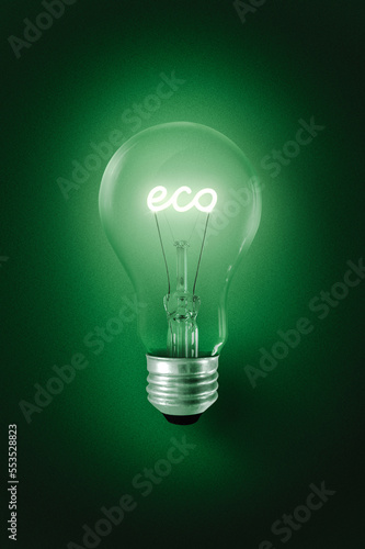 The eco text inside the light bulb glows green.
