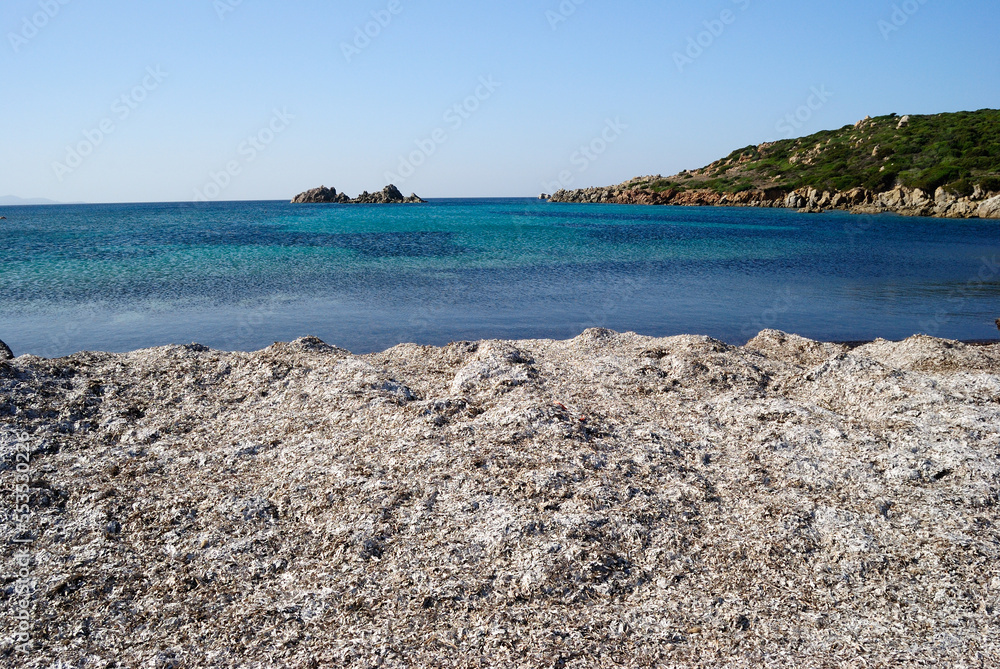 Fototapeta premium La spiaggia di Lu Pultiddolu