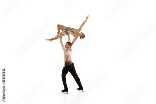 Canvas Print High flight