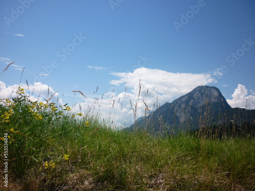 Austrian alps
