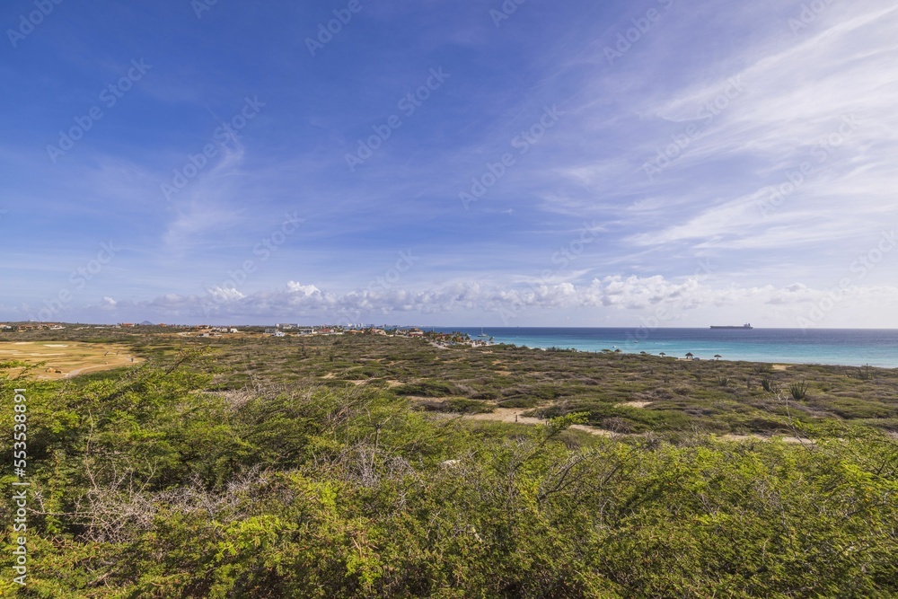 Beautiful desert view of Aruba island landscape with tropical vegetation against backdrop of Atlantic ocean.