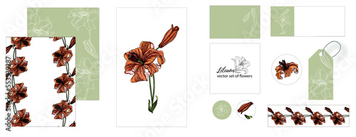 set of postcards with Lily flowers. exotic, romantic, isolated, vintage