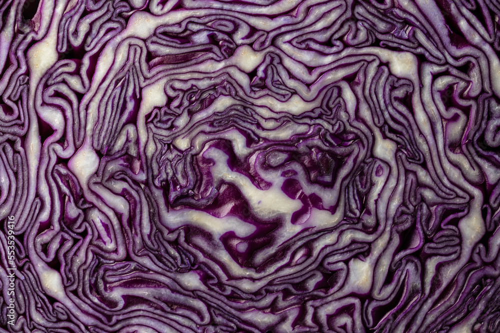 Background of blue cabbage in a section, macro photography. Closeup, top view. Texture and pattern of raw purple cabbage Background of blue cabbage in a section, macro photography. Closeup, top view. Texture and pattern of raw purple cabbage