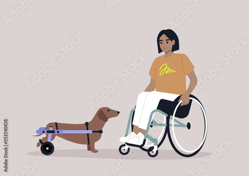 A sausage dog with their female Caucasian owner, both using wheelchair support due to moving disability