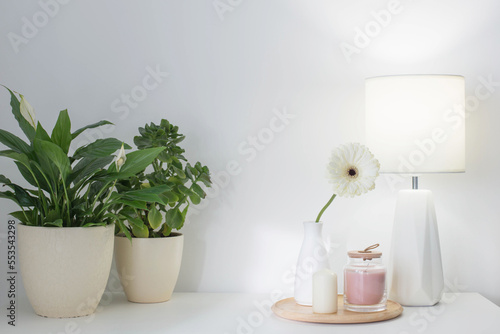 house plants and modern lamp on white shelf