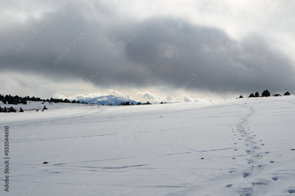 Snow field 01