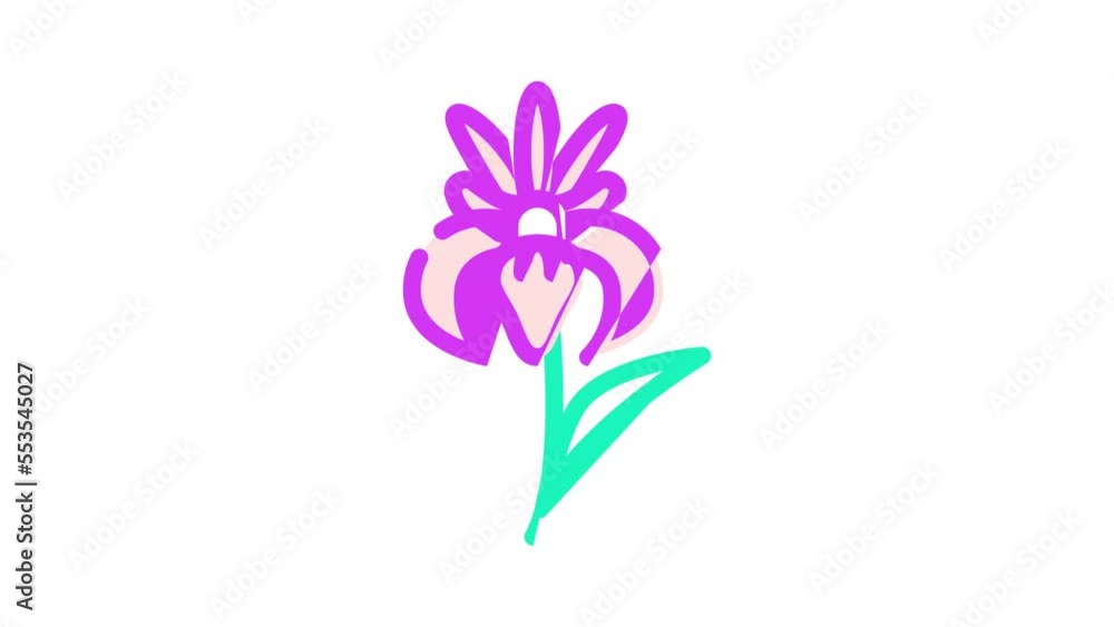 iris flower color icon animation iris flower color icon animation