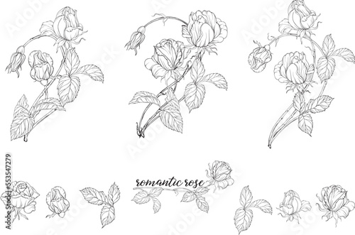 Vector set of flower compositions with rose flowers. 