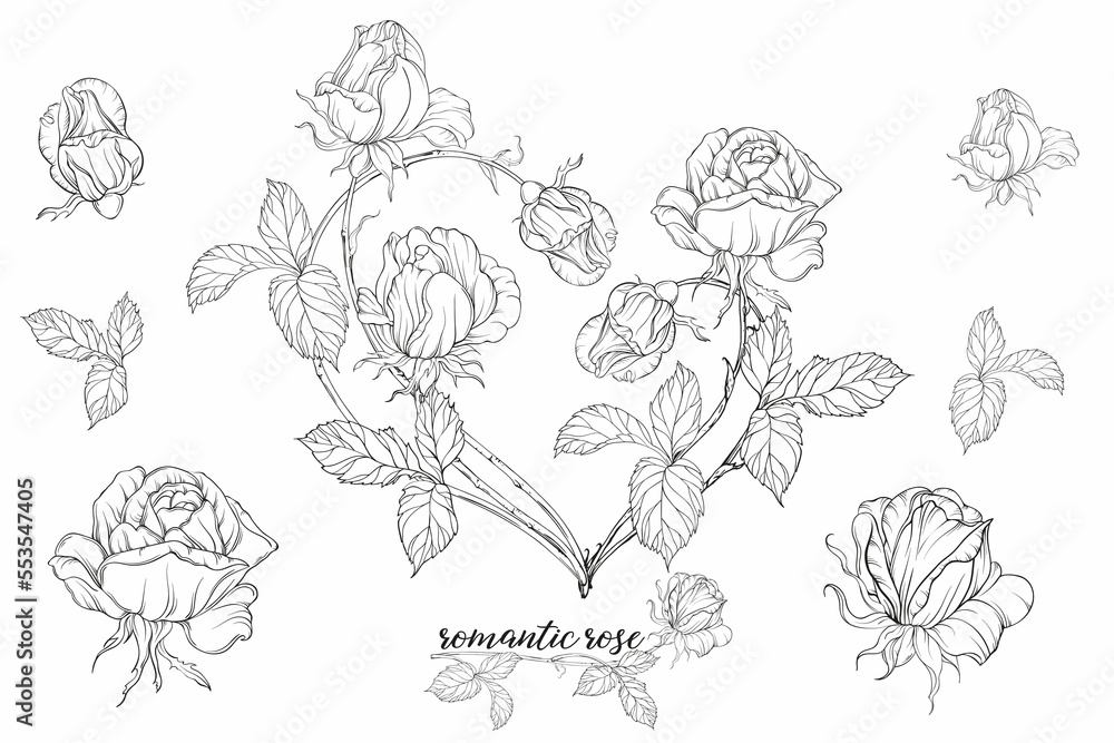 Vector set of flower compositions with rose flowers.Heart of flowers. Vector set of flower compositions with rose flowers.Heart of flowers.