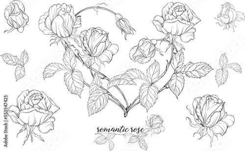 Vector set of flower compositions with rose flowers.Heart of flowers.