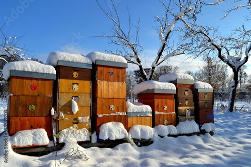 Snow covered bee hives in winter castle park in Holesov, Moravia, Czech Republic.  photo