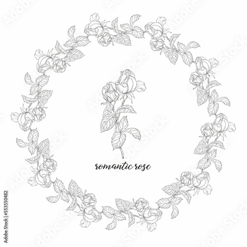 Vector set of flower compositions with rose flowers. Floral wreath. Rose. 1
