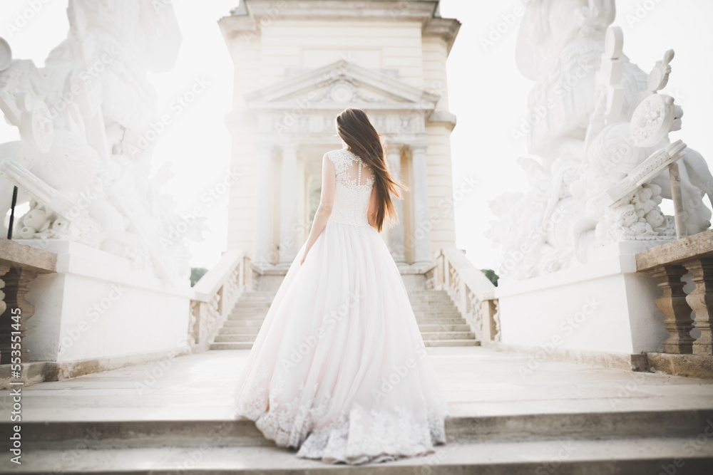 Beautiful luxury bride in elegant white dress