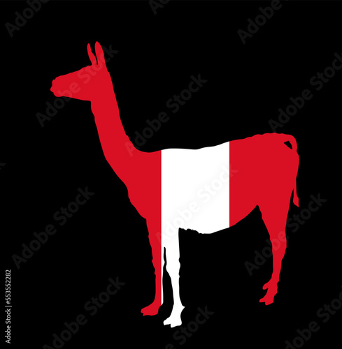 horse on a white