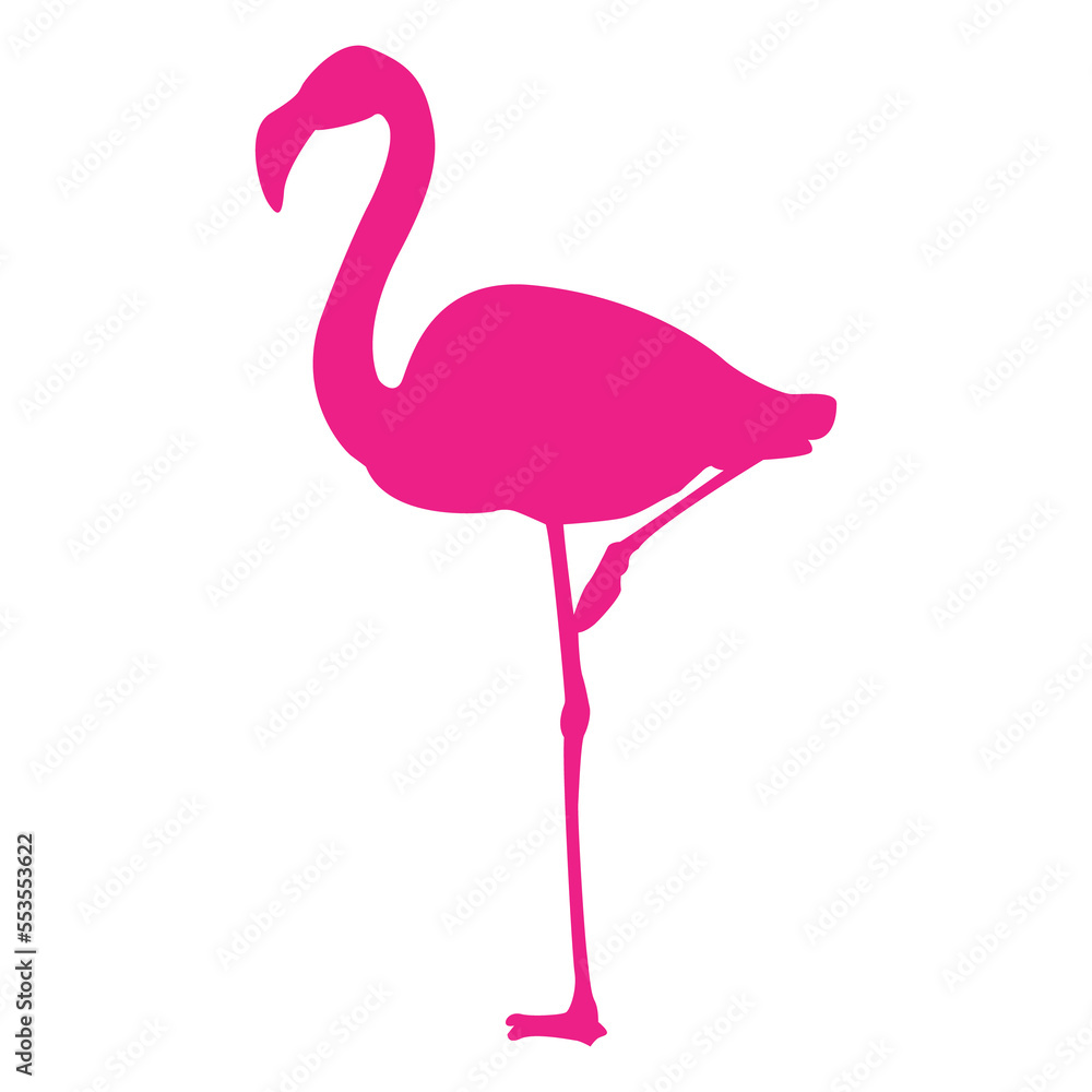 Silueta aislada de flamingo Silueta aislada de flamingo