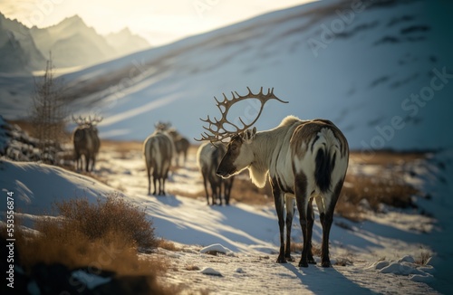 Wallpaper Mural Reindeer in winter Torontodigital.ca