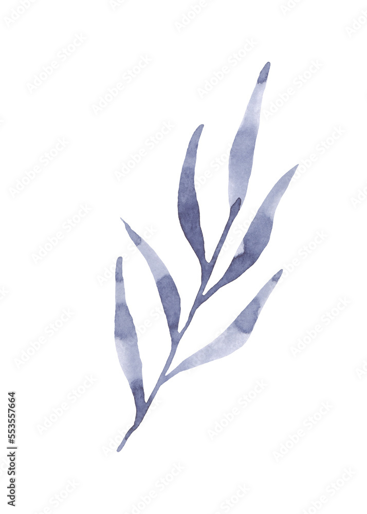 watercolor illustration of a blue textured twig with leaves, for design, decoration, invitation, postcard watercolor illustration of a blue textured twig with leaves, for design, decoration, invitation, postcard