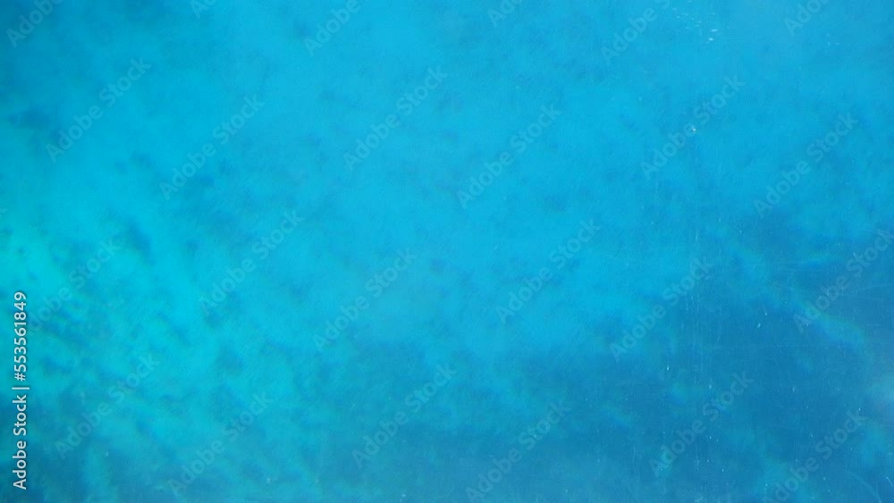 Partial Shots Of Dolphins With Fins Swimming Around In Aquarium Aqua View Partial Shots Of Dolphins With Fins Swimming Around In Aquarium Aqua View