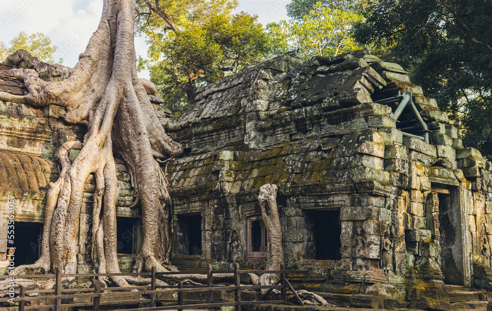 Ta Prohm Temple in the Angkor Wat complex; Siem Reap, Cambodia Ta Prohm Temple in the Angkor Wat complex; Siem Reap, Cambodia