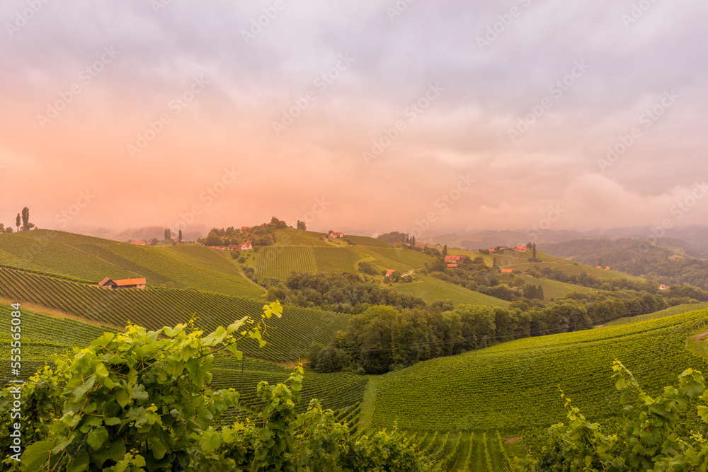 Scenery vineyard along the south Styrian vine route named suedsteirische weinstrasse in Austria at sunset, Europe.