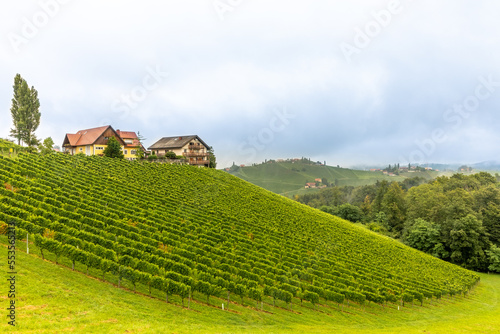Panoramic view from vineyard to green hills of south styrian wine route in Austria.